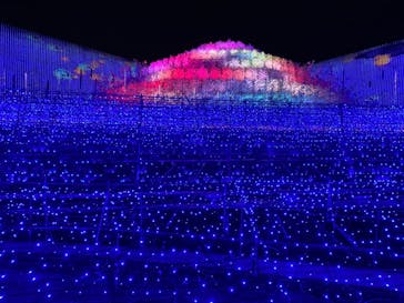 なばなの里に投稿された画像（2020/11/22）