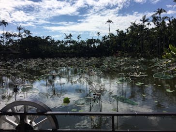 美らヤシパークオキナワ・東南植物楽園に投稿された画像（2020/11/22）