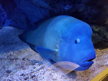 すみだ水族館に投稿された画像（2020/11/22）