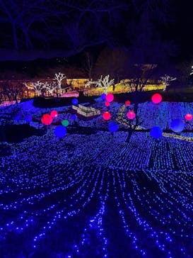 さがみ湖MORI MORIに投稿された画像（2020/11/22）