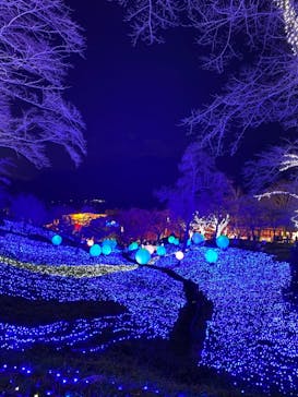 さがみ湖MORI MORIに投稿された画像（2020/11/22）