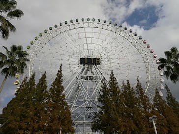 ナガシマスパーランドに投稿された画像（2020/11/22）