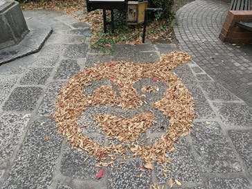 ナガシマスパーランドに投稿された画像（2020/11/22）