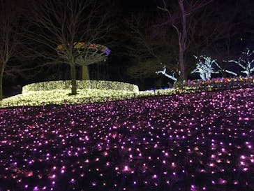 さがみ湖MORI MORIに投稿された画像（2020/11/22）