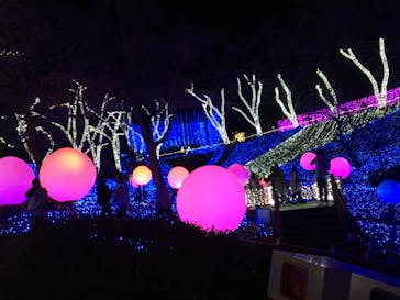 さがみ湖MORI MORIに投稿された画像（2020/11/22）