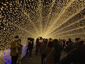 なばなの里に投稿された画像（2020/11/22）