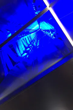 東京スカイツリーに投稿された画像（2020/11/22）