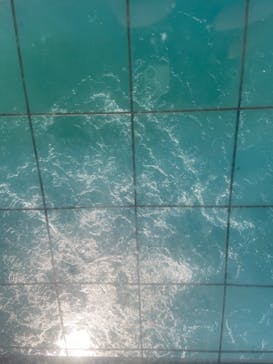 徳島県立 渦の道に投稿された画像（2020/11/22）