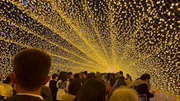 なばなの里に投稿された画像（2020/11/22）