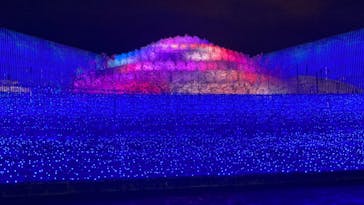 なばなの里に投稿された画像（2020/11/22）