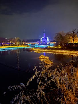 なばなの里に投稿された画像（2020/11/22）