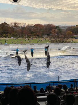 京都水族館に投稿された画像（2020/11/22）