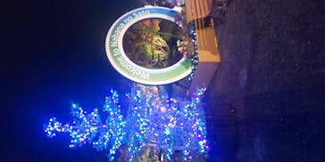 なばなの里に投稿された画像（2020/11/22）