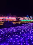 東武動物公園に投稿された画像（2020/11/23）