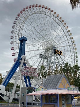 ナガシマスパーランドに投稿された画像（2020/11/23）