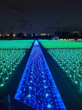 東京メガイルミに投稿された画像（2020/11/23）