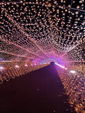 東京メガイルミに投稿された画像（2020/11/23）