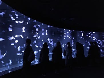 サンシャイン水族館に投稿された画像（2020/11/23）