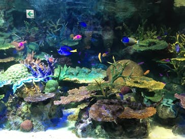 サンシャイン水族館に投稿された画像（2020/11/23）