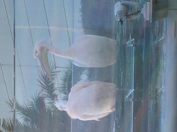 サンシャイン水族館に投稿された画像（2020/11/23）