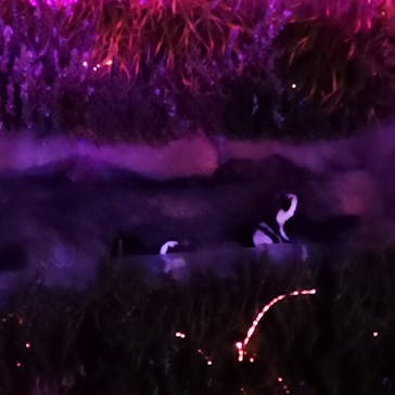 サンシャイン水族館に投稿された画像（2020/11/23）