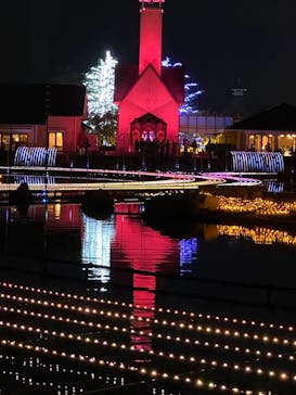 なばなの里に投稿された画像（2020/11/23）