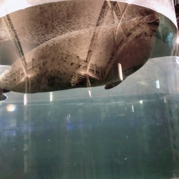 京都水族館に投稿された画像（2020/11/23）