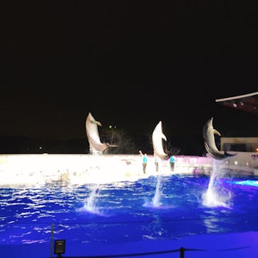 京都水族館に投稿された画像（2020/11/23）