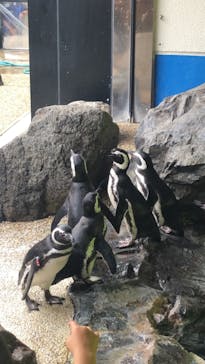 株式会社Gに投稿された画像（2020/11/23）