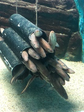 株式会社Gに投稿された画像（2020/11/23）