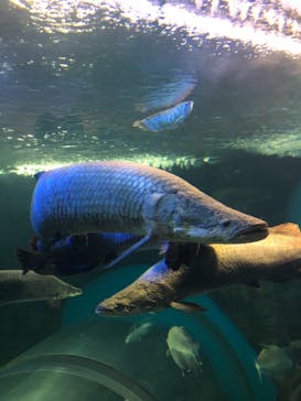 株式会社Gに投稿された画像（2020/11/23）