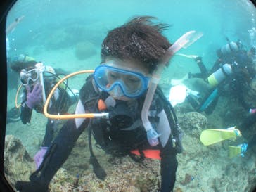 沖縄ダイビングショップシーモールに投稿された画像（2020/11/23）