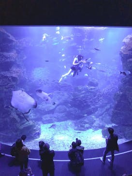 京都水族館に投稿された画像（2020/11/23）