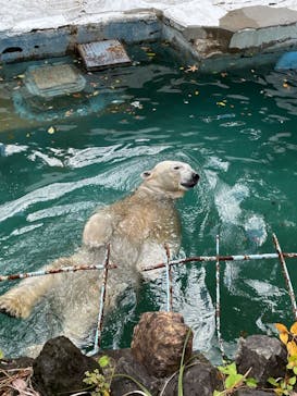 天王寺動物園に投稿された画像（2020/11/23）