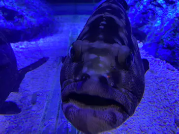 すみだ水族館に投稿された画像（2020/11/23）