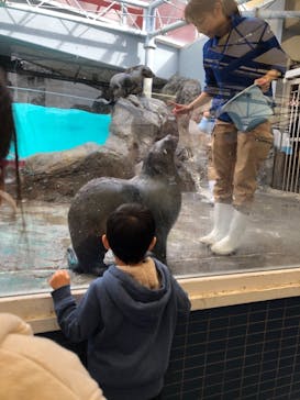 鳥羽水族館に投稿された画像（2020/11/23）