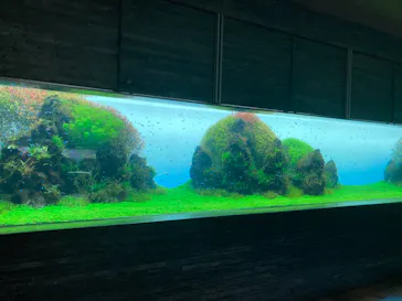 すみだ水族館に投稿された画像（2020/11/23）