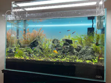 すみだ水族館に投稿された画像（2020/11/23）