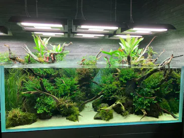 すみだ水族館に投稿された画像（2020/11/23）