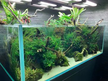 すみだ水族館に投稿された画像（2020/11/23）