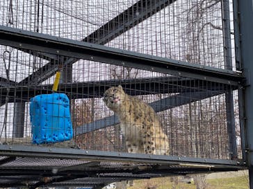 旭川市旭山動物園に投稿された画像（2020/11/23）