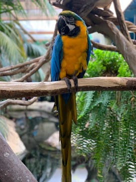 那須どうぶつ王国に投稿された画像（2020/11/23）