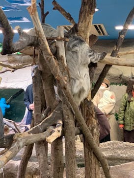 那須どうぶつ王国に投稿された画像（2020/11/23）