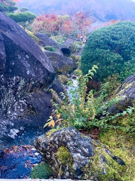 箱根美術館に投稿された画像（2020/11/23）