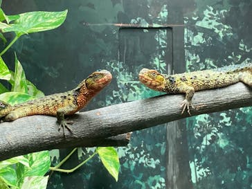 天王寺動物園に投稿された画像（2020/11/23）