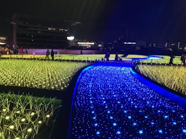 東京メガイルミに投稿された画像（2020/11/23）