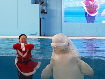 横浜・八景島シーパラダイスに投稿された画像（2020/11/23）