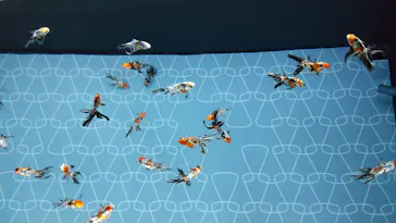 すみだ水族館に投稿された画像（2020/11/23）