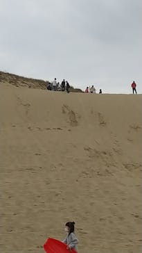 鳥取砂丘サンドボードスクール事業部に投稿された画像（2020/11/23）