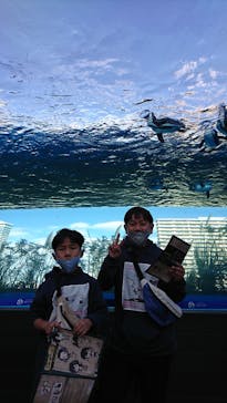 サンシャイン水族館に投稿された画像（2020/11/23）
